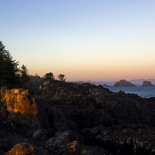 Алексей Сергеевич Дромиади