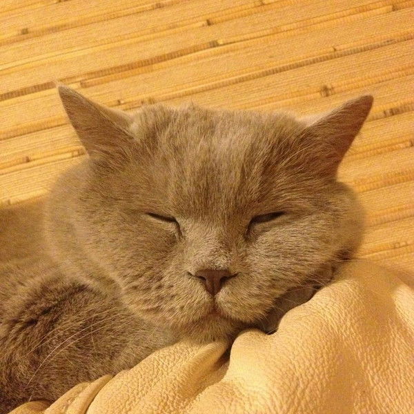 Лена Исакова