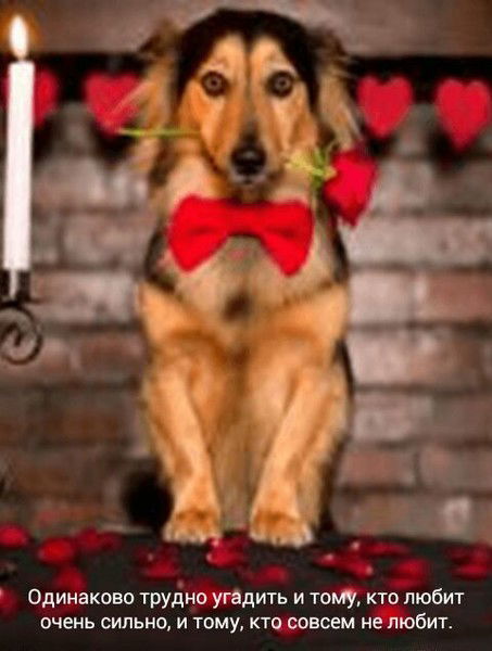 Meiramgul Kabdeshova