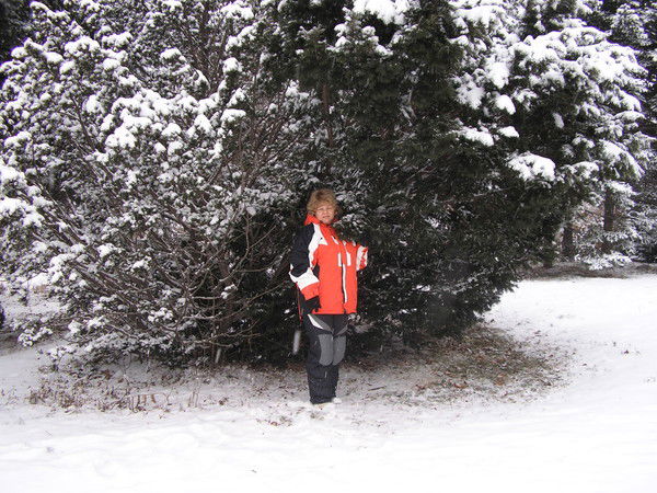 Аэлита Тихонова