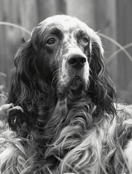 Светлана Александрова