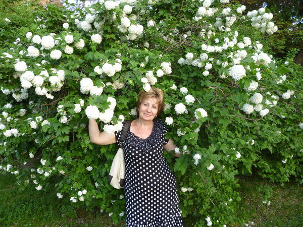 Светлана Сырцова