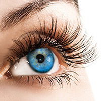 Владуська Шипицина