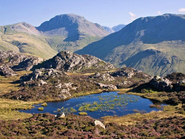 Денис Мещеряков