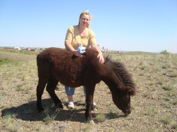 Елена Буданцева