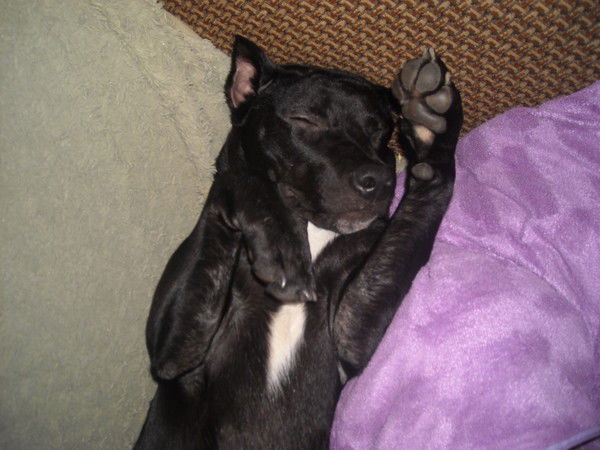 Сергій Волинь