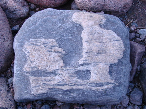 Людмила Софьина