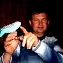 Юрий Гармата