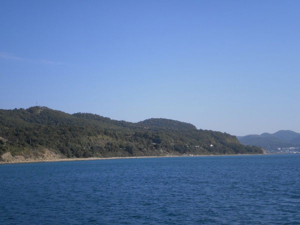 Пётр Цыбанев