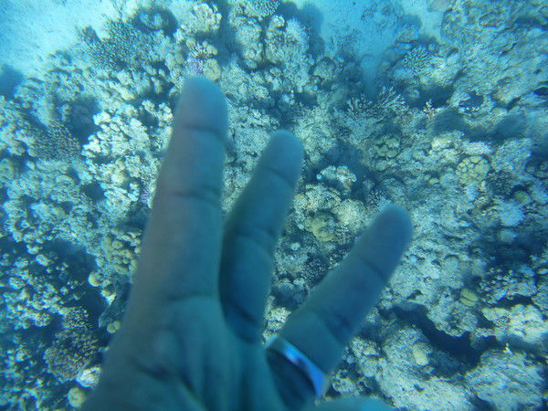 Юлия Назина