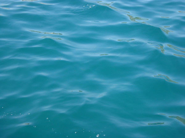 Светлана Кукла