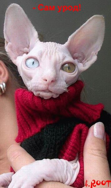 Игорь Скугарев