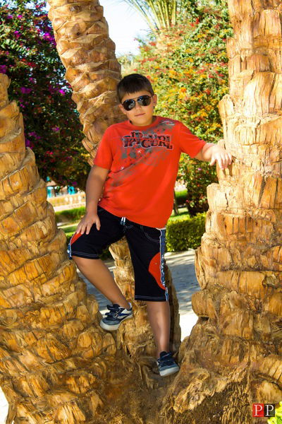 Арсений Вилижанин