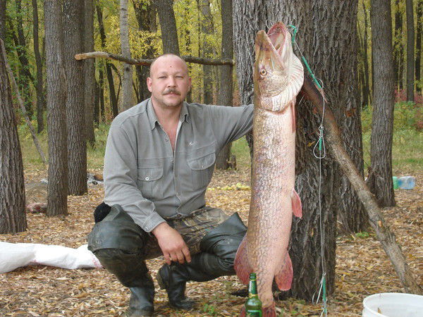 Александр Иванников