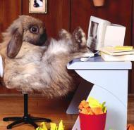 Ксения Лоскутова