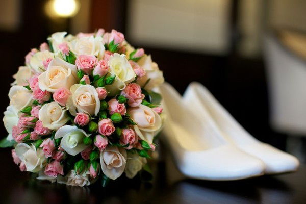 Диантус Север