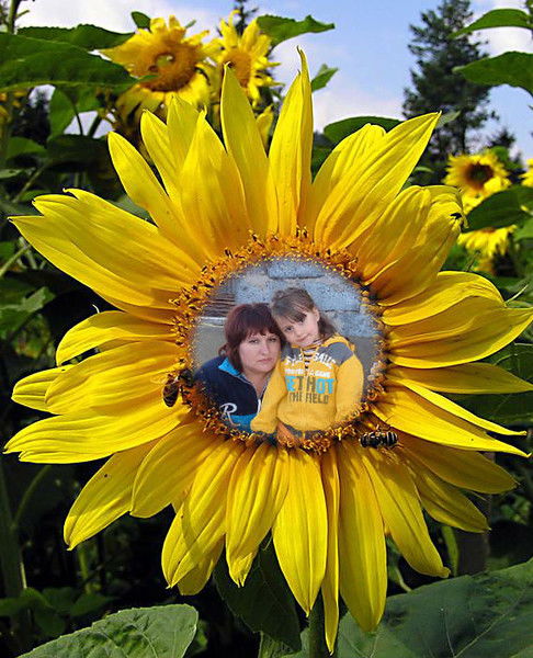 Елена Владимировна Короленко