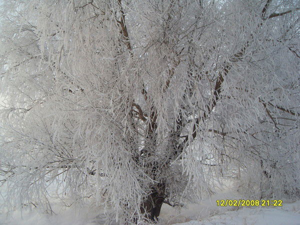 Слава Везмитин