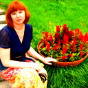 Елена Гетманенко