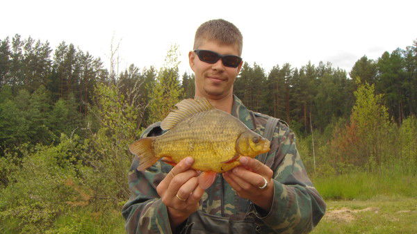 Александр Дашков