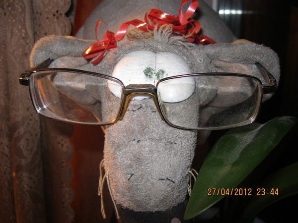 Айболит Докторовичъ