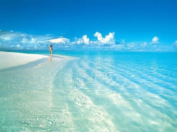 Максим Гагаев