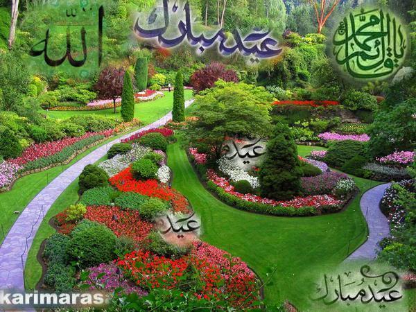 Айка Момунова