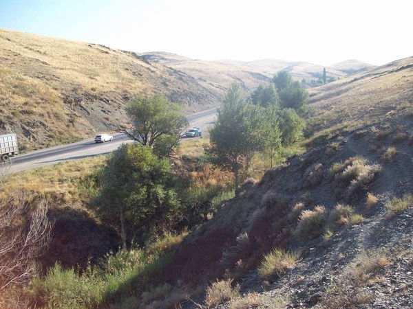 Виталий Ануфриенко