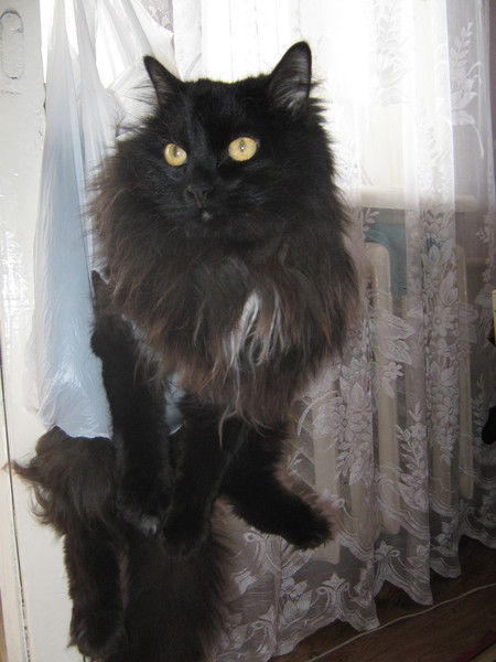 Наташа Палицына