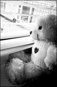 Анастасия Бондаренко