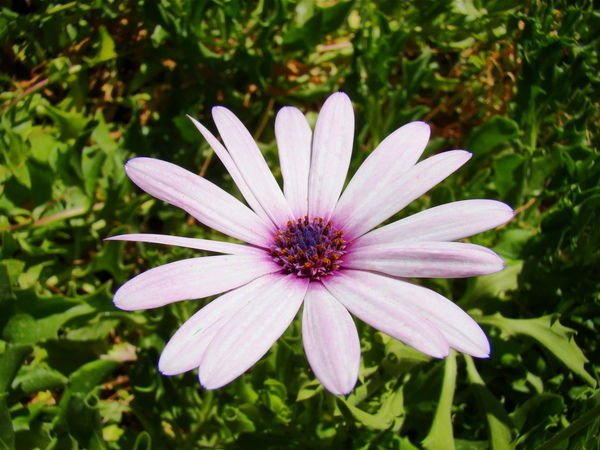 Светлана Гилас