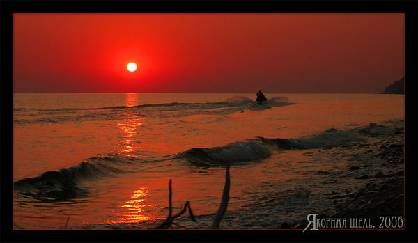 Светлана Артюшенко