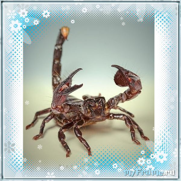 Екатерина Смирнова