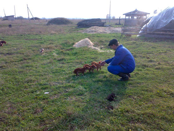 Евгений Ларичев