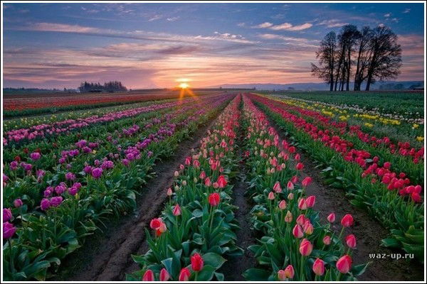 Каламкас Ахметова