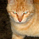 Максим Михаилов