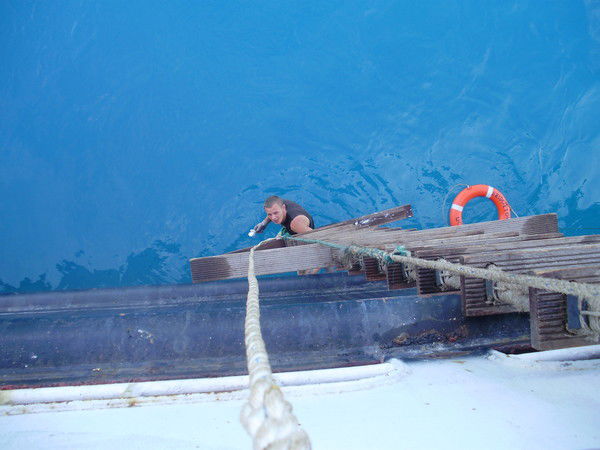 Николай Лиманец