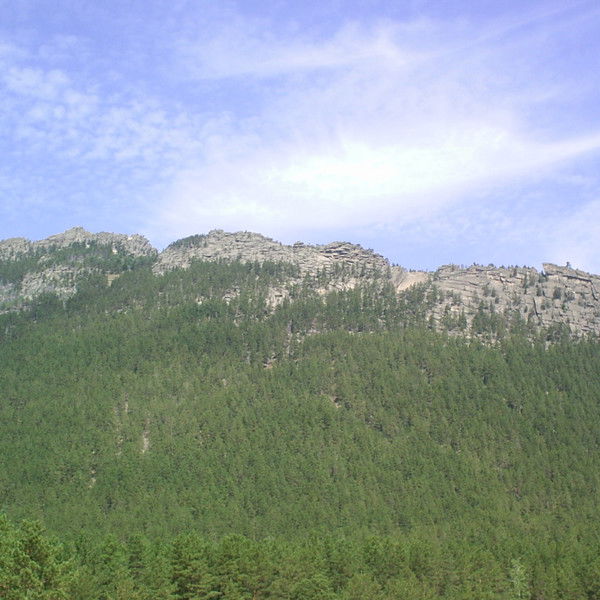 Елена Голубцова