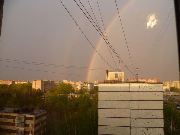 Алексей Мурзенков