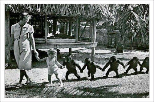 Ольвия Ольвия