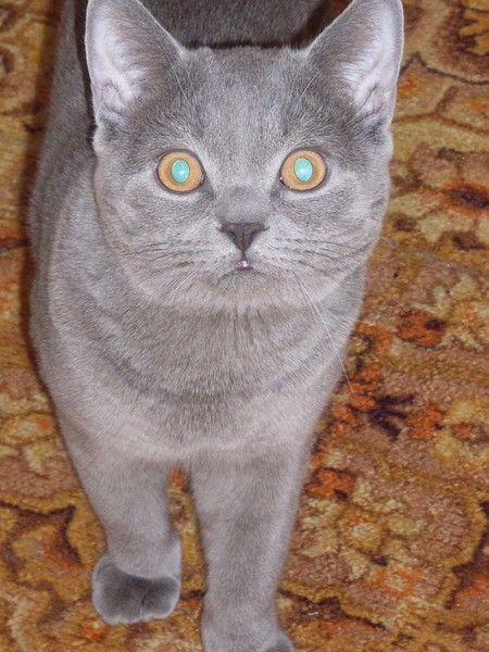 Валентина Полевая