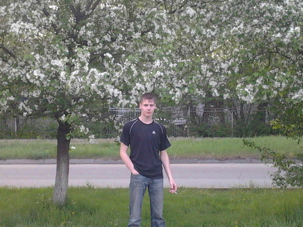 Александр Романовский