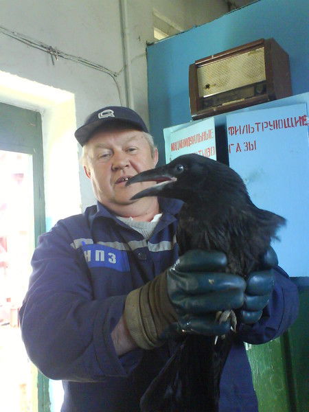 Андрей Кальгин