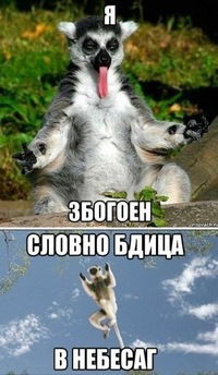 Александр Мальков