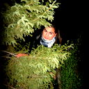 Elya