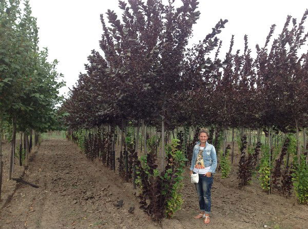 Ирина И Олег Литваковы