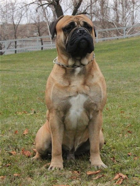 Ольга Luft Терехова