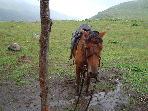 Сергей Спиридонов