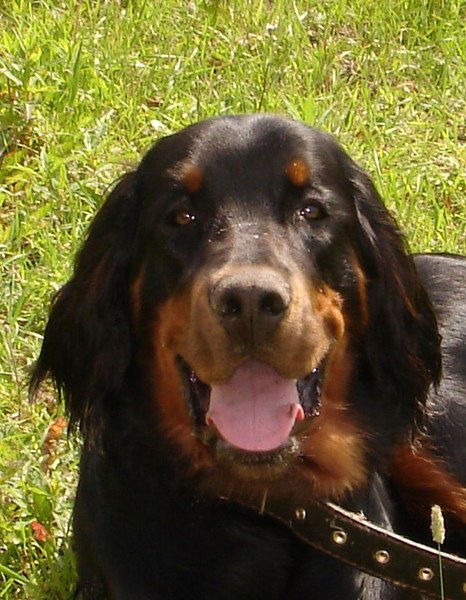 Саня Киселёв