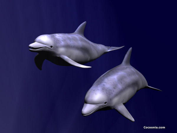 Бахытгуль Айтуганова